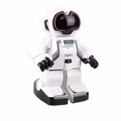 Silverlit ECHOBOT