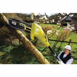 Ryobi RPP755E 750 W Noir, Jaune