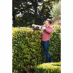 Ryobi RHT25X55R 5,1 kg