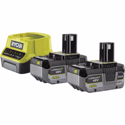 CARACTÉRISTIQUES 2 batteries Lithium+ 4,0 Ah et chargeur de batterie Batteries avec technologie Lithium+ qui garantissent plu ...