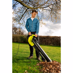 Ryobi RBV3000CESV 3000 W 375 km/h - Vue supplémentaire 4
