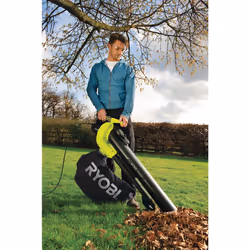 Ryobi RBV3000CESV 3000 W 375 km/h - Vue supplémentaire 7