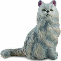Collecta Chat Persan Assis