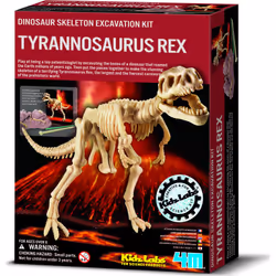 Borella Fun Science Scava Un Fossile T-Rex, 6 an(s)