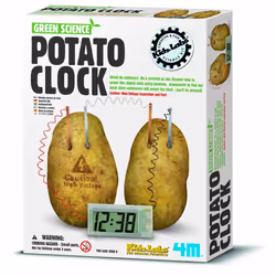 Borella Orologio con Patata, 6 an(s)