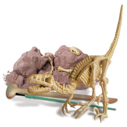 DAM 4M Kidz Labs - Déterre Ton Dinosaure (Velociraptor)