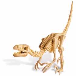 DAM 4M Kidz Labs - Déterre Ton Dinosaure (Velociraptor)
