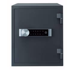 Yale YFM/420/FG2, Noir, Verrouillage à combinaison, Clé plate, Métal, 352 mm, 420 mm