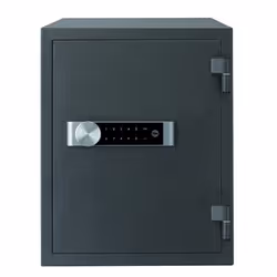 Yale YFM/520/FG2, Noir, Verrouillage à combinaison, Clé plate, Métal, 404 mm, 522 mm