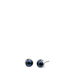 Bering 701-17-05 Clous d'oreilles Acier inoxydable Argent