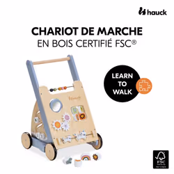 Hauck Learn to Walk