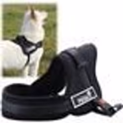 Harnais de Chien - PS018 - Réglable - Rembourré - Noir - Taille L (70-90cm)