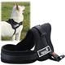 Harnais de Chien - PS018 - Réglable - Rembourré - Noir - Taille L (70-90cm)
