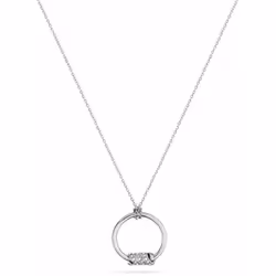 COLLIER POLICE PEJLN2212301