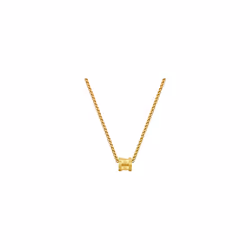 Collier de police PEAGN0001903