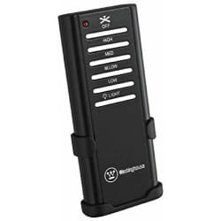 Westinghouse Lighting 77843