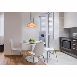 Westinghouse 6102040 éclairage de plafond E27