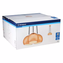 Westinghouse 6102040 éclairage de plafond E27