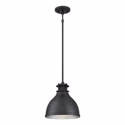 Westinghouse 6326840, Support flexible, Noir, Noir, Matte Brushed Gun Metal, Cône, Salle de bains, Chambre à coucher, Cuisine