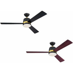 Ventilateur de plafond Tristan Noir avec éclairage