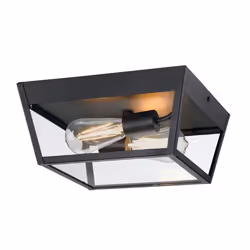 Westinghouse Peterson, Surface, Autres, 1 ampoule(s), E27, IP44, Noir