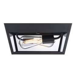 Westinghouse Peterson E27 LED