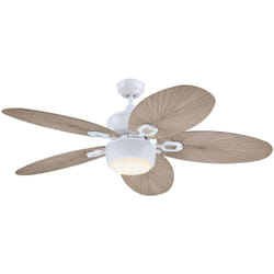 Ventilateur de plafond extérieur Oasis avec Lumière