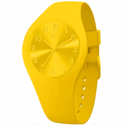 Montre Quartz Ice pour Femme IW017908