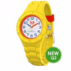 MONTRE ICE IC020324