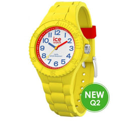 MONTRE ICE IC020324