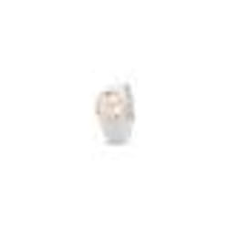 Montre - Ice Watch - 020516 - Quartz - Analogique - Silicone Blanc 21 cm