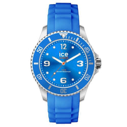 Montre Quartz Ice pour Homme 020361