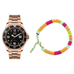 Montre Quartz Ice pour Homme 020909