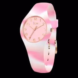 MONTRE ICE 021011