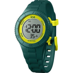Montre Quartz Ice pour Mixte 021622