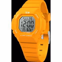 MONTRE ICE 022102