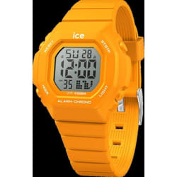 MONTRE ICE 022102