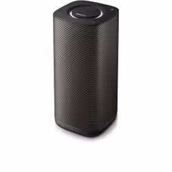 Philips Enceinte portable Multiroom sans fil BM6B/10, 2.0 canaux, 15 W, Avec fil &sans fil, Enceinte portable stéréo, Noir, I ...