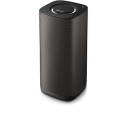 Philips Enceinte portable Multiroom sans fil BM6B/10