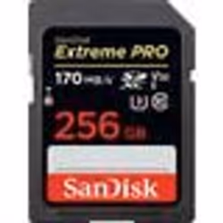 Carte mémoire SDXC - SanDisk - Extreme PRO - 256 Go - 170 Mo/s - Classe 10 U3 V30