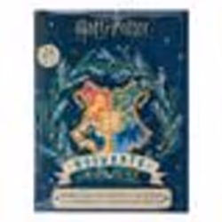 Calendrier de lAvent Harry Potter 2022 - Licence officielle-Cinereplicas - 24 cadeaux exclusifs - Bleu - Mixte