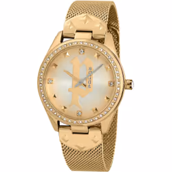 Montre Police pour Femme PL16029MSG.22MM