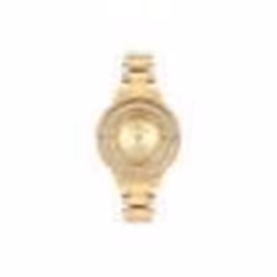 Montre de police PL.16037BSG-22M