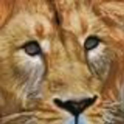 Diamond Dotz Serengeti Magic