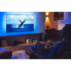 Philips Fidelio TAFW1/10, Wireless Sub Noir Caisson de basse actif 210 W - Vue supplémentaire 18