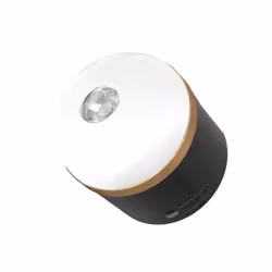 EcoFlow SCLI-B Lampe de camping Lanterne de camping à piles Port USB