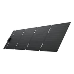 EcoFlow EFSOLAR60-TYPE-C Panneau solaire 60 W Silicium monocristallin