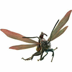 Hot Toys MMSC003 - Ant-Man On Flying Ant