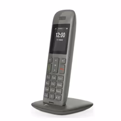 Telekom Speedphone 11, Téléphone IP, Graphite, Combiné sans fil, 50 m, 300 m, 100 entrées