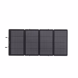 EcoFlow 50062001 Panneau solaire 220 W Silicium monocristallin